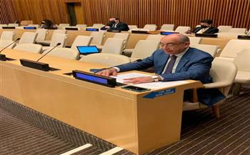   مصر تشارك في اجتماع مجلس الأمن لتسوية النزاعات بأفريقيا