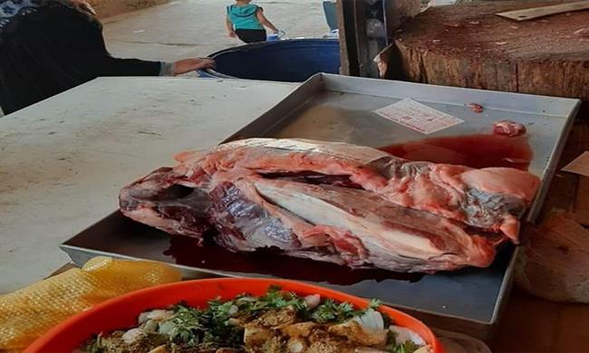 ضبط لحوم مذبوحة خارج السلخانة بالمنوفية