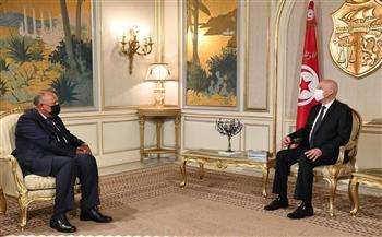   فيديو وصور.. وزير الخارجية ينقل رسالة الرئيس السيسي إلى نظيره التونسي