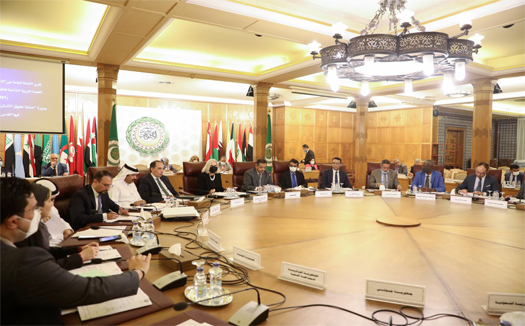 الجامعة العربية تؤكد أهمية «الاتفاقية العربية لمناهضة العنف ضد المرأة»