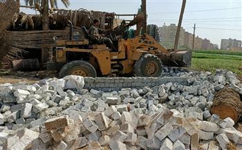 نظافة وإزالة وصيانة.. بنى سويف تتجمل