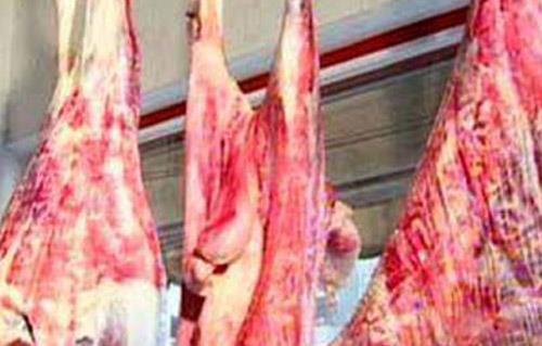 استقرار أسعار اللحوم  في السوق المحلية