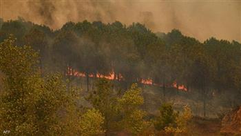   حرائق الغابات تجلى الآلاف فى كاليفورنيا