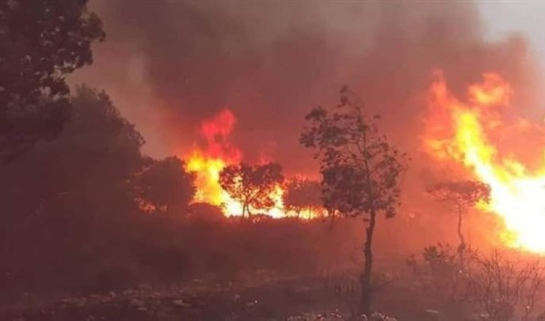 حريق كبير غربى محافظة إربد الأردنية