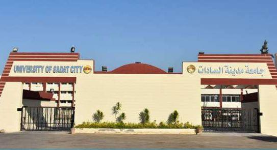 جامعة السادات تنظم مشروع بيئى بقرية بنى سلامة