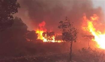   حريق كبير غربى محافظة إربد الأردنية