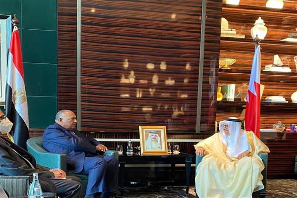 وزير الخارجية يبحث مع نظيره البحريني العلاقات الثنائية