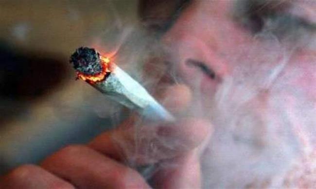 بالأسماء.. وقف ٥ عمال بحي حلوان بسبب المخدرات 