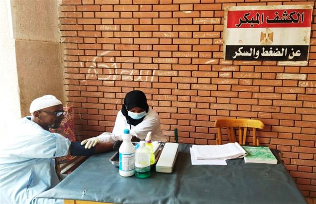 محافظ أسوان يتابع نتائج القوافل الطبية بقريتي «هاريف والنزل»