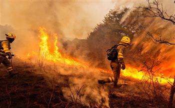   حريق الغابات يتسبب بإجلاء الآف من المواطنين فى إسبانيا