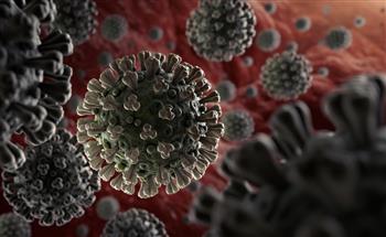   بلغاريا تسجل 437 إصابة جديدة بفيروس كورونا