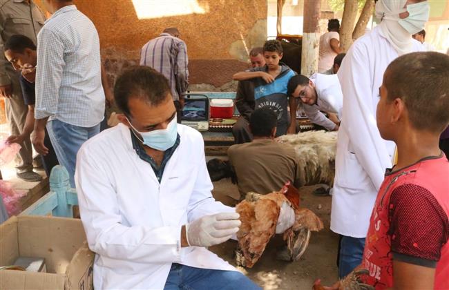 خدمات متنوعة لقافلة جنوب الوادي بقرية الصبريات بدشنا