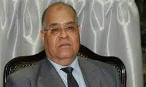 ناجى الشهابي :  خطط التنمية فى مصر سارت جنبا إلى جنب مع  مكافحتها للإرهاب