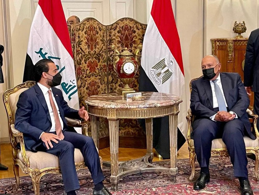 شكري يبحث مع رئيس النواب العراقي التعاون بين البلدين
