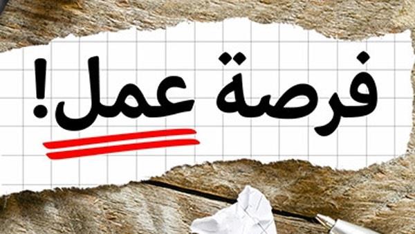توفير 100 فرصة عمل برواتب مجزية بالوادي الجديد