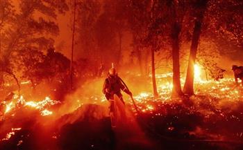   حرائق كاليفورنيا.. تغطية «الغابة العملاقة» ببطانيات