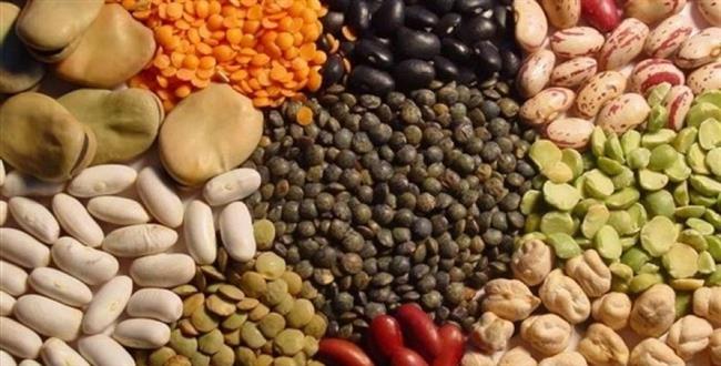 تناول البقوليات بكميات معتدلة مفيد لمرضى السرطان