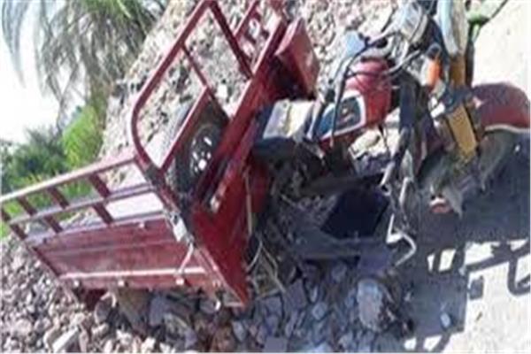 مصرع 3 وإصابة 4 آخرين في تصادم تروسيكل بشجرة فى المنيا