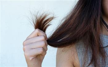   «امنحيه استراحة».. نصائح لحماية الشعر من أضرار الحرارة