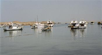   اليونان تتهم قوارب الصيد التركية باختراق مياهها الإقليمية
