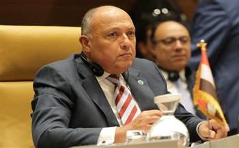   وزير الخارجية يشدد على دعم جهود تحقيق التسوية في ليبيا