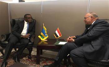   شكرى يبحث العلاقات الثنائية مع وزير خارجية رواندا 