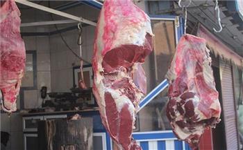   «بيطري الوادي الجديد»: ضبط كميات من اللحوم والدواجن مجهولة المصدر