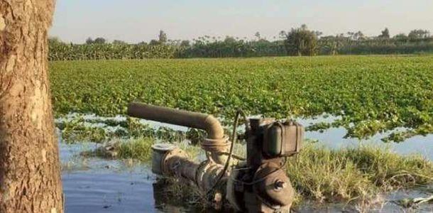 إزالة مرسى وطلمبات تمويل على نهر النيل  بمدينة رشيد 