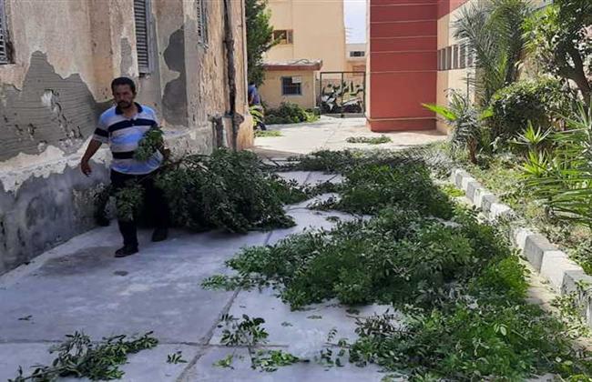 رفع ١٦٤طن أتربة وتقليم ٢٤ شجرة و ٤٥ نخله  بغرب صباح اليوم 