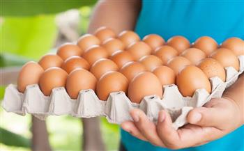   أسعار البيض في السوق اليوم السبت 25 سبتمبر