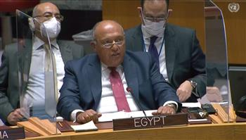   شكري يكشف موقف مصر من مع إثيوبيا بسبب سد النهضة