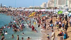 طرح مزايدات علنية ومناقصات عامة لعدد من العمليات بالإسكندرية  