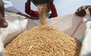   الزراعة توافق على توريد تقاوى القمح لمطروح بنسبة تخفيض 50%  