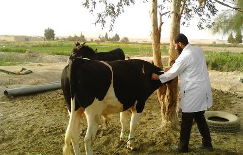 قافلة طبية بعزبة الشيخ بمركز أشمون