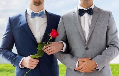 الشعب السويسري يصوت بـ«نعم كبيرة» لتشريع زواج المثليين| فيديو