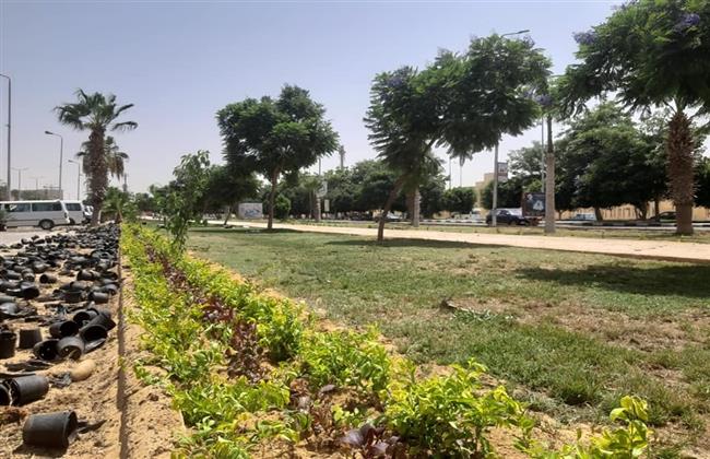 رئيس جهاز الشروق: تكثيف أعمال صيانة المسطحات الخضراء بمداخل المدينة