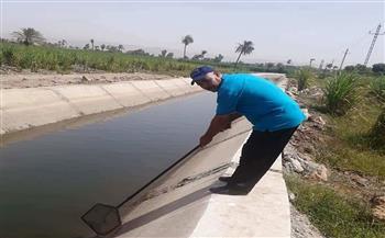 استمرار أعمال مكافحة قواقع البلهارسيا بقري ومدن قنا 
