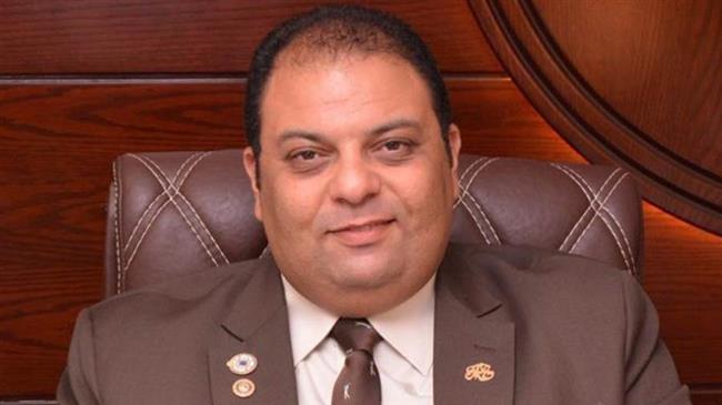 مايكل نصيف: "تحيا مصر" تجربة تنموية رائدة تستحق الإشادة