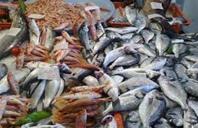 الحكومة تستهدف رفع نسبة الاكتفاء الذاتي من الأسماك 