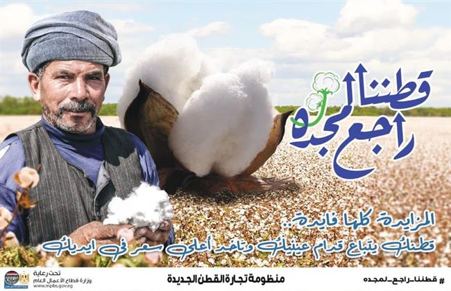 «قطاع الأعمال»: 3715 جنيها سعر القنطار في أول مزاد للقطن بالموسم الجديد