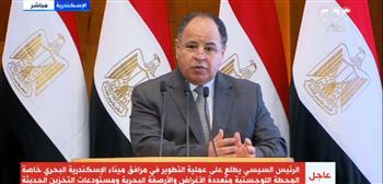   وزير المالية: الاقتصاد المصري أصبح قادرا على مواجهة التحديات