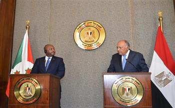   شكري ونظيره البوروندى يؤكدان عمق علاقات التعاون بين البلدين