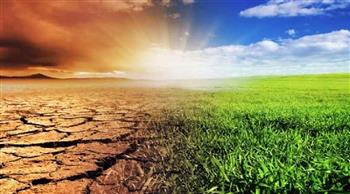   شاكر أبو المعاطي:  نتائج التغيرات المناخية علي النبات تقدر نهاية الموسم