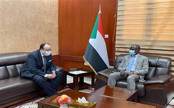   مصر تؤكد دعمها لمساعى الاستقرار فى السودان