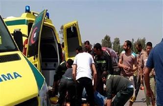 مصرع وإصابة 8 أشخاص جراء حادثين بأسوان