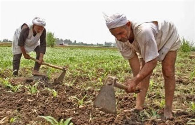 فى عيدهم  الـ69.. ننشر مطالب فلاحو القليوبية للرئيس السيسي  
