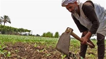 «الأغلبية البرلمانية»: الفلاح ركيزة أساسية لبناء للدولة