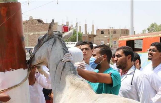 جامعة جنوب الوادي تواصل إطلاق القوافل الشاملة ضمن «حياة كريمة»