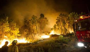   إجلاء أكثر من 900 شخص جنوبي إسبانيا بسبب حرائق الغابات
