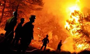   حرائق الغابات.. إجلاء أكثر من 900 شخص جنوبي إسبانيا